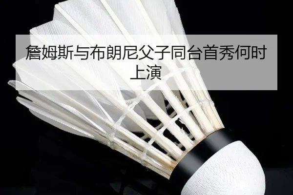 詹姆斯与布朗尼父子同台首秀何时上演 | www.hth.com