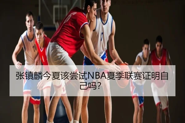 张镇麟今夏该尝试NBA夏季联赛证明自己吗？